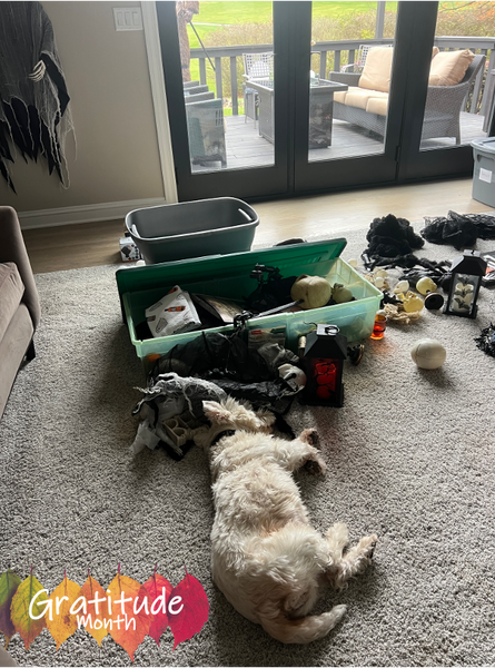 Resting & Recharging