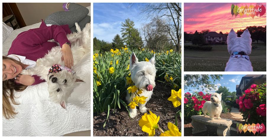 Gratitude Month | Day 28